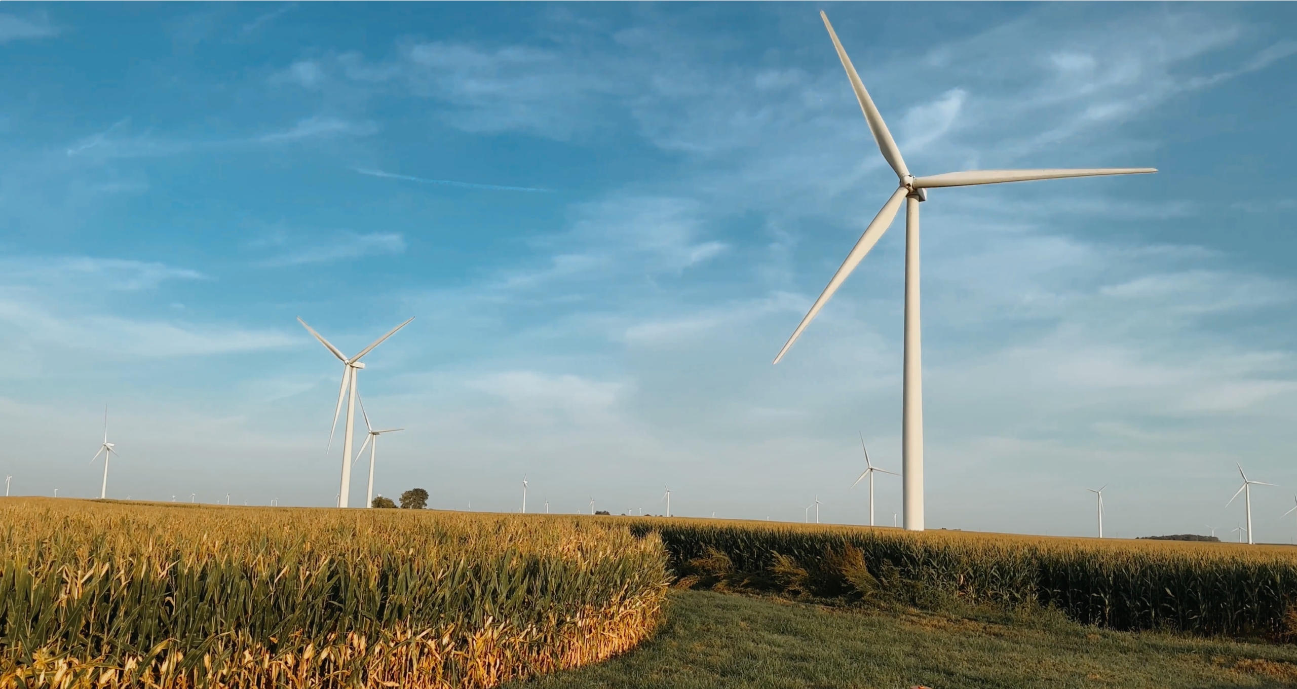 Windrad über einer landwirtschaftlichen Fläche