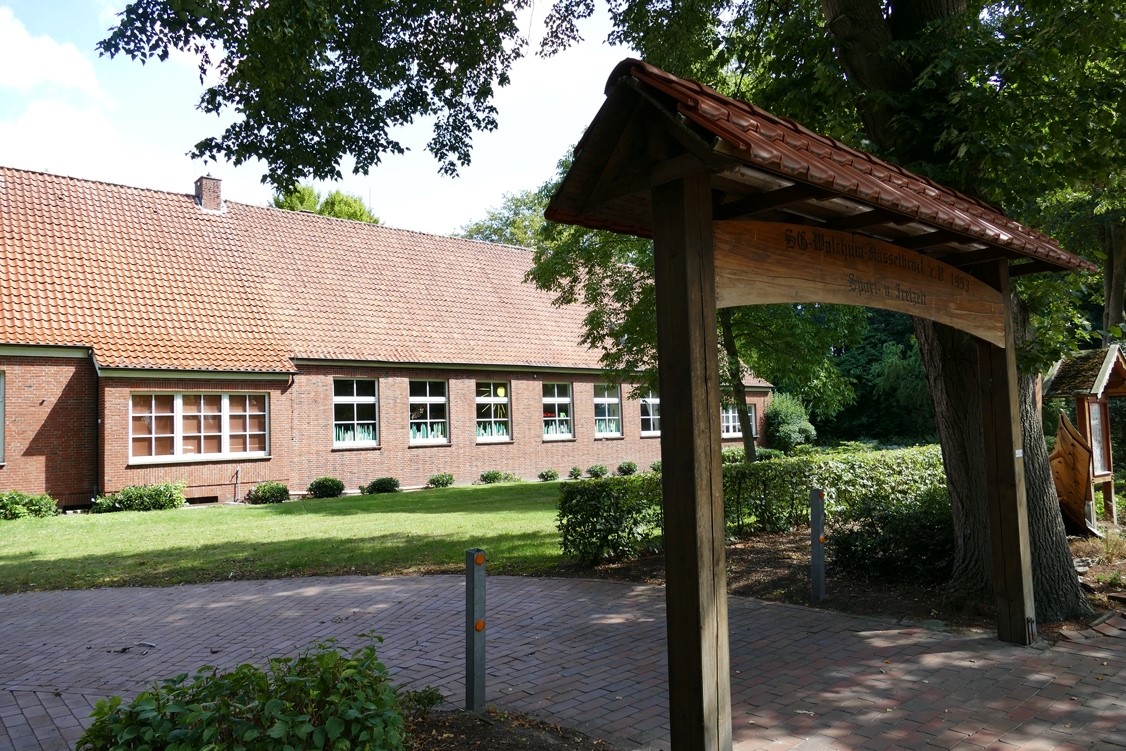 Baumkontrolle und Begleitung von Fällarbeiten